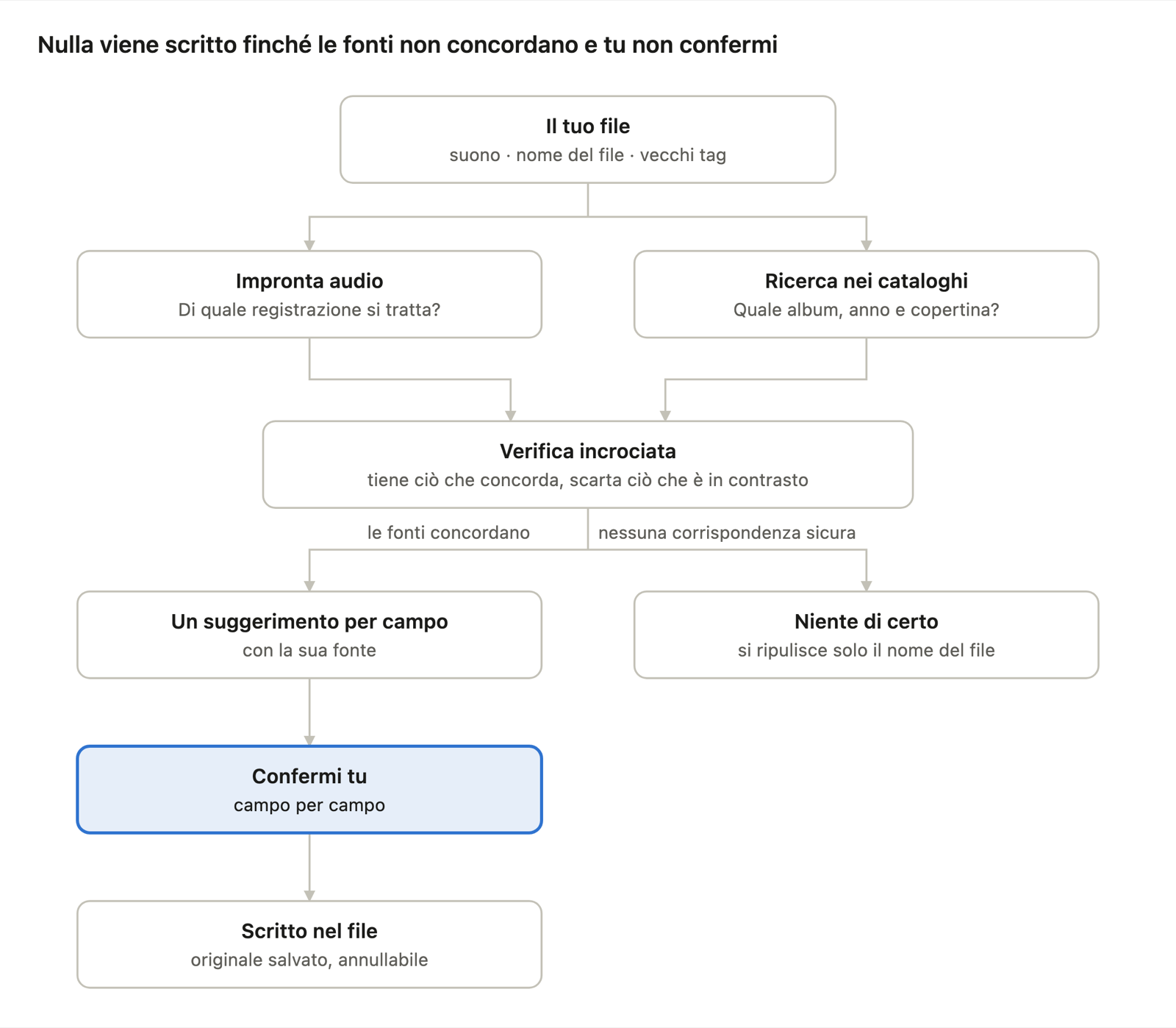 Nulla viene scritto finché le fonti non concordano e tu non confermi